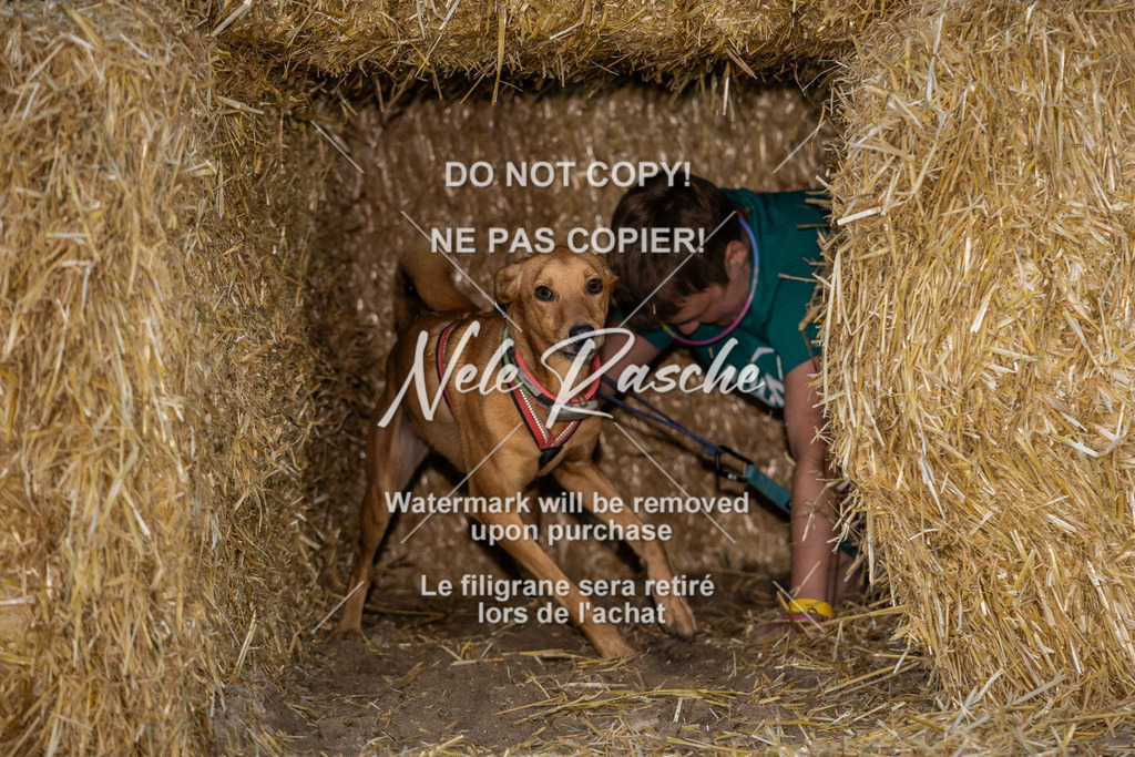 nelerasche_FrNacht_130 | nelerasche