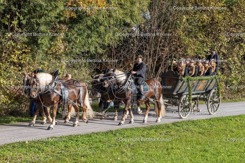 LBT24-324 | foto-bettina-krinner - Realisiert mit Pictrs.com