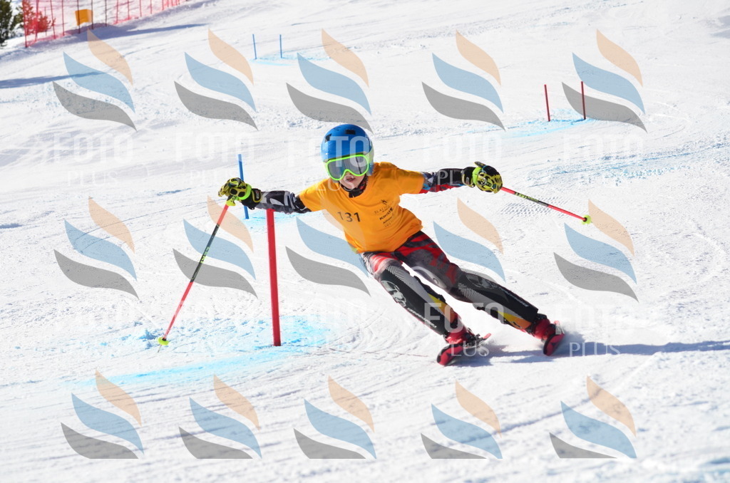 C6444 | holidayphoto