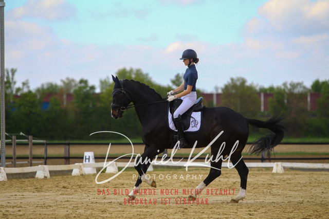 DKP43138 | Turniersportfotografie; Pferdefotografie; Dressurfotografie