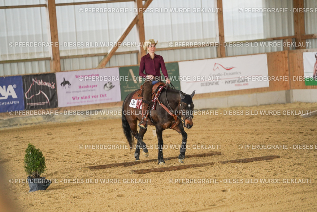 DSC03742 | Pferdegrafie