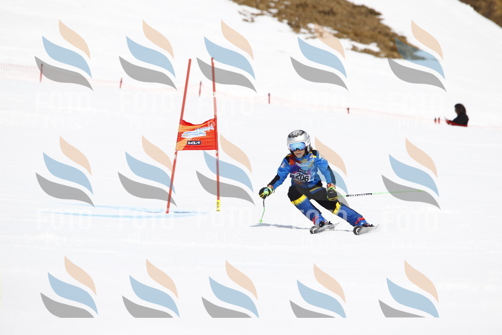 _U3G5336 | holidayphoto