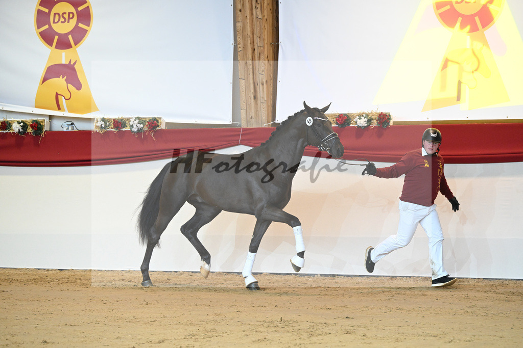 Kat-Nr. 49 Falihandro_Wilbers_1231321 | hf-fotografie - Realizzato con Pictrs.com