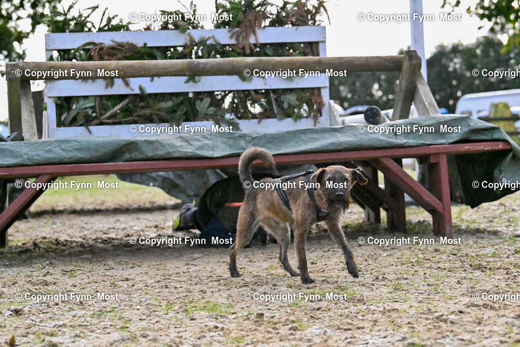 DSC_4585 | Hallo und herzlich Willkommen auf meiner Shop-Seite Fynn Most.

Ich wünsche Dir viel Spaß beim stöbern durch die Bilder, wenn Du Fragen hast oder Bilder vermisst, kannst du mir gerne eine Nachricht schreiben. - Realisiert mit Pictrs.com