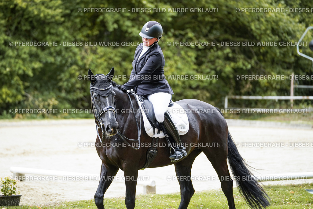 DSC09500 | Pferdegrafie