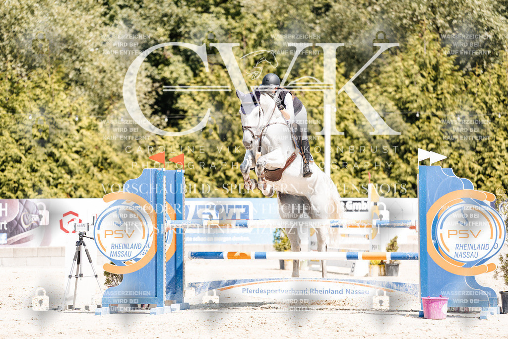 CK900890 | Turnierfotografie Pferdefotografie Trier Rheinland-Pfalz Pferdesport Reitsport Tierfotografie Sportfotografie Pferdevideo Pferdevideografie Equestrianvideography equestrianphotography  - Realisiert mit Pictrs.com