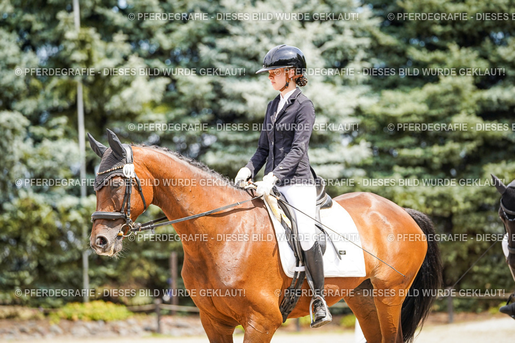 DSC03448 | Pferdegrafie