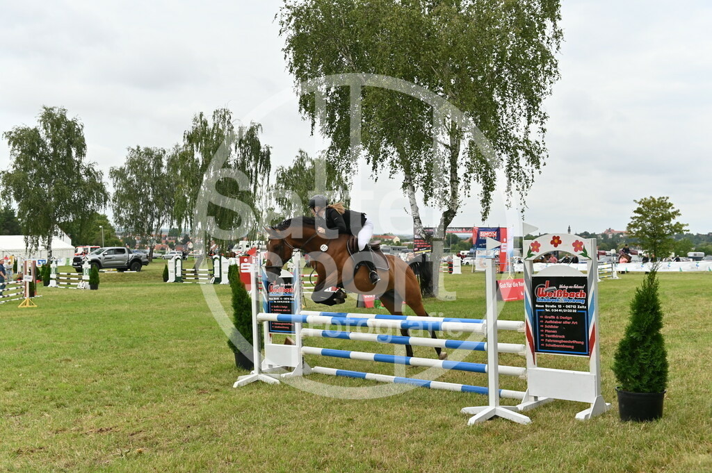 DSC_3085 | sattelsport - Realisiert mit Pictrs.com