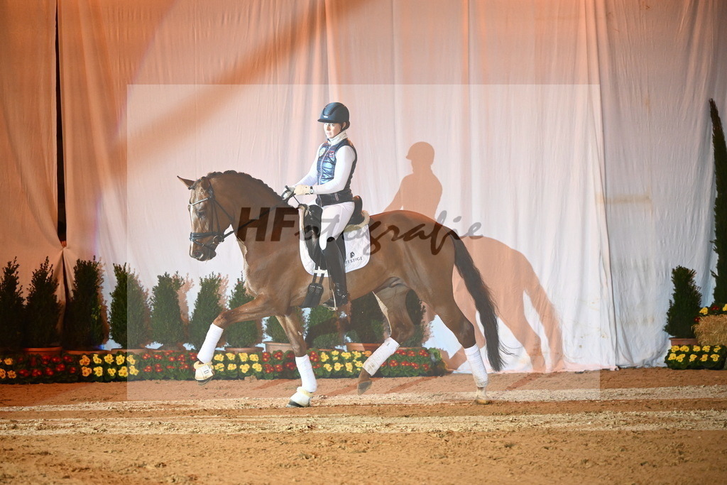 Viva Diamond_2241575 | hf-fotografie - Realisiert mit Pictrs.com
