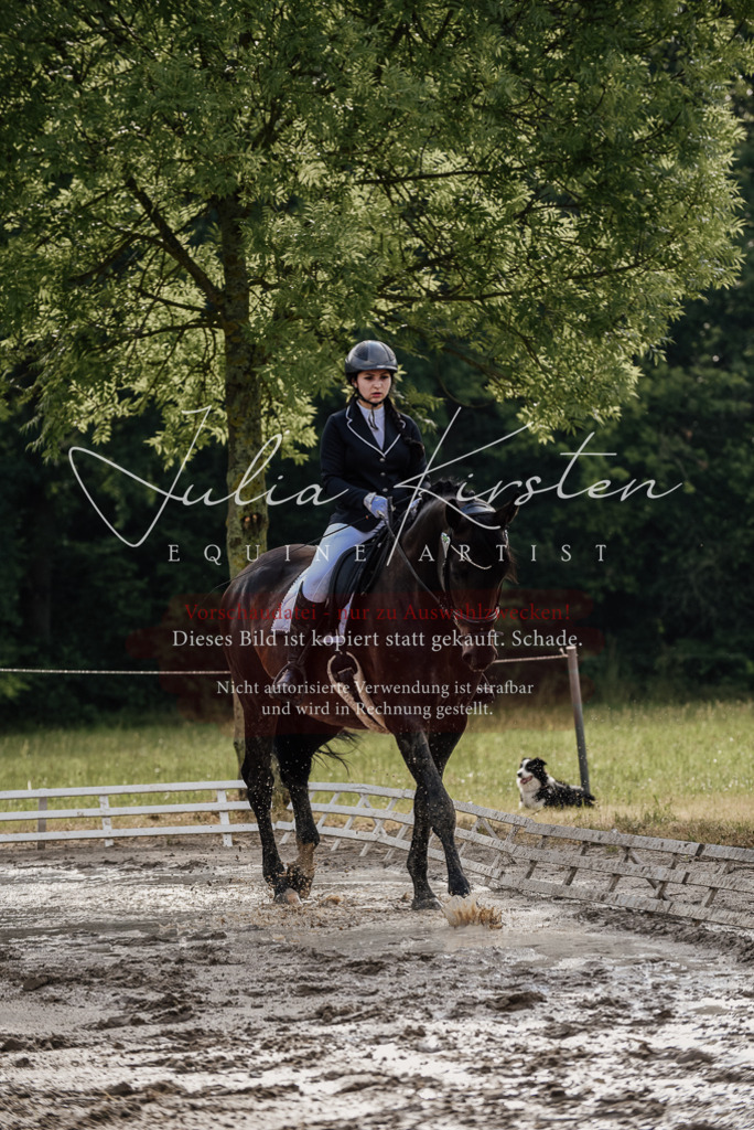 DSC_8555 | Pferde- und Turnierfotografie in Westsachsen. Pferdeportraits, Auftragszeichnungen und intuitive Kunst.