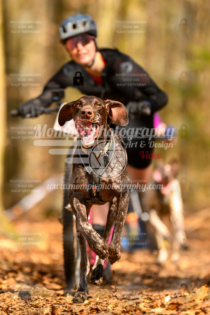 MompixPhotography_Habay2025_SA_SCO-13 | PayLife