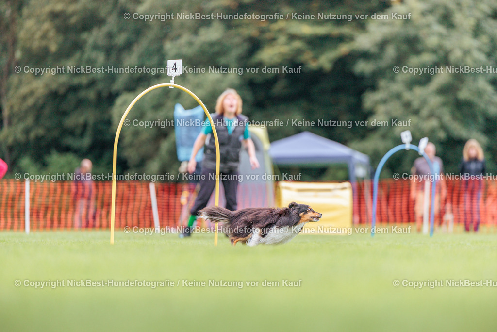 BSP Hoopers-H2-2026-Nickbest-Hundefotografie-TuS Komet Arsten e.V.-5570 | Dein Hund! Dein Moment! Deine Erinnerungen! Hundefotografie in Bremen Blumenthal. Ich fange die besonderen Momente deines Vierbeiners ein – ob Indoor mit Blitzanlage oder in der freien Natur. Sicher dir dein Moment und dein Termin für eure Erinnerungen.