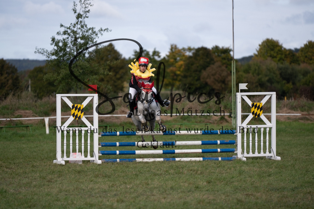 A7V06562 | Pferdefotograf