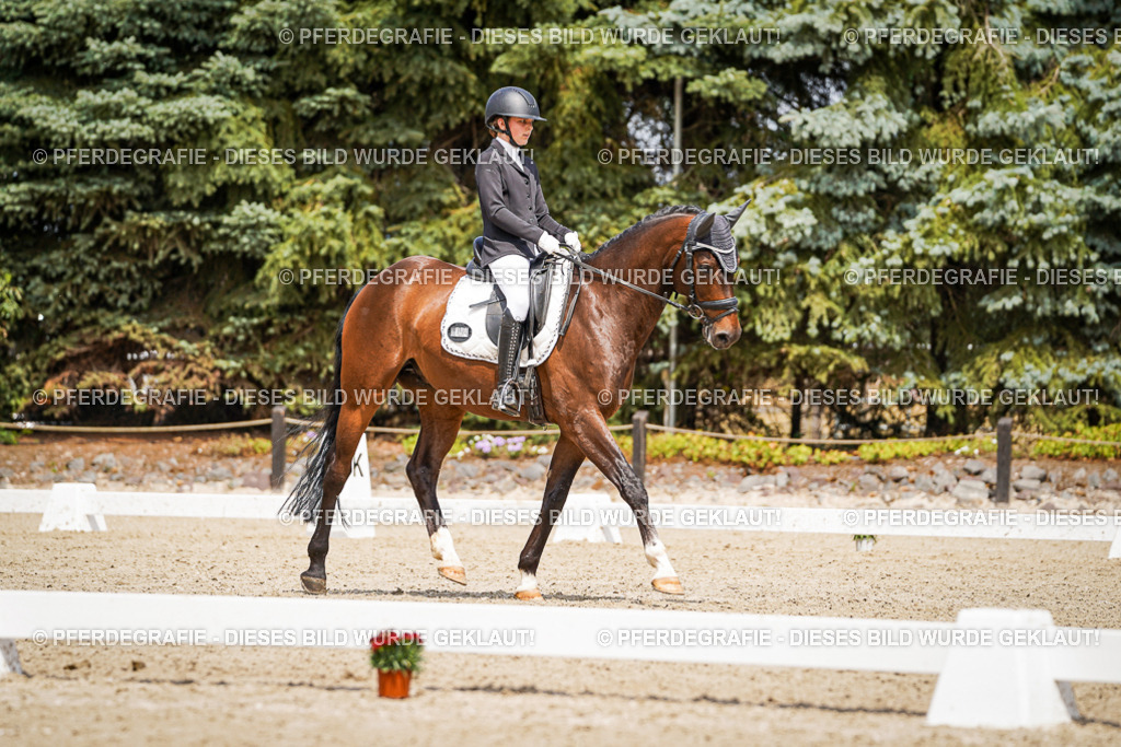 DSC03141 | Pferdegrafie