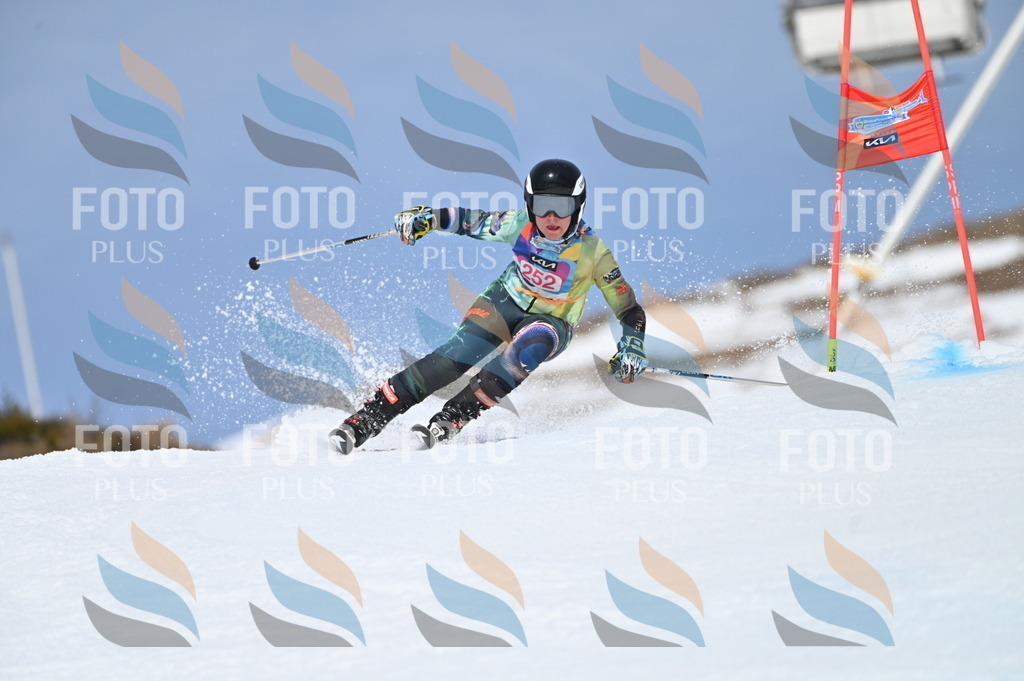 BGV_1908 | holidayphoto