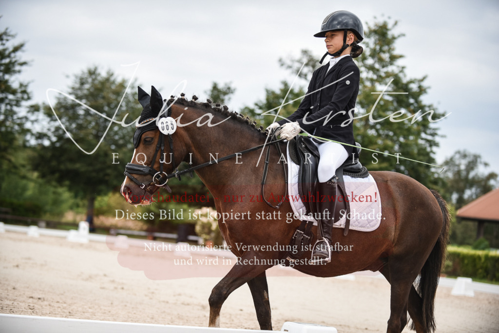 DSC_8157 | Pferde- und Turnierfotografie in Westsachsen. Pferdeportraits, Auftragszeichnungen und intuitive Kunst.