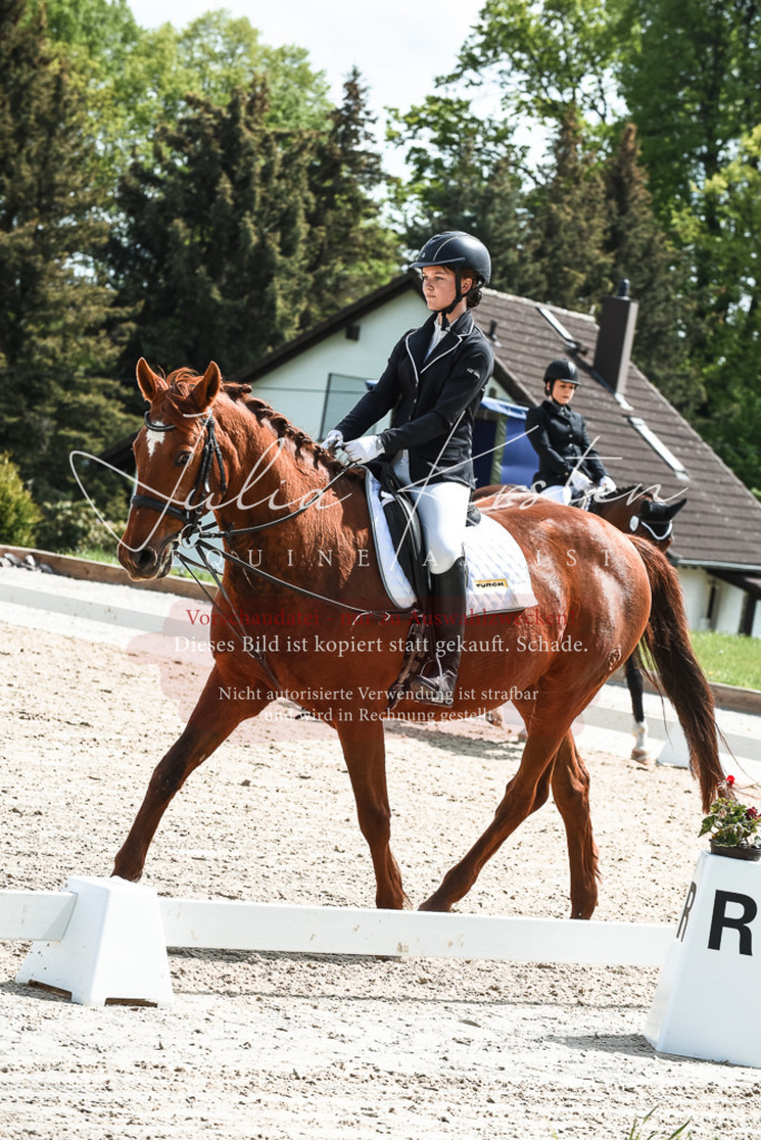 20230518_JK-Röhrsdorf-11-0497 | Pferde- und Turnierfotografie in Westsachsen. Pferdeportraits, Auftragszeichnungen und intuitive Kunst.