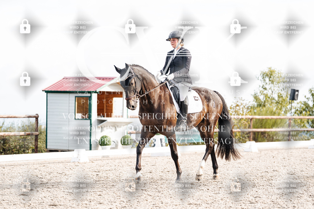 CK901193 | Turnierfotografie Pferdefotografie Trier Rheinland-Pfalz Pferdesport Reitsport Tierfotografie Sportfotografie Pferdevideo Pferdevideografie Equestrianvideography equestrianphotography  - Realisiert mit Pictrs.com