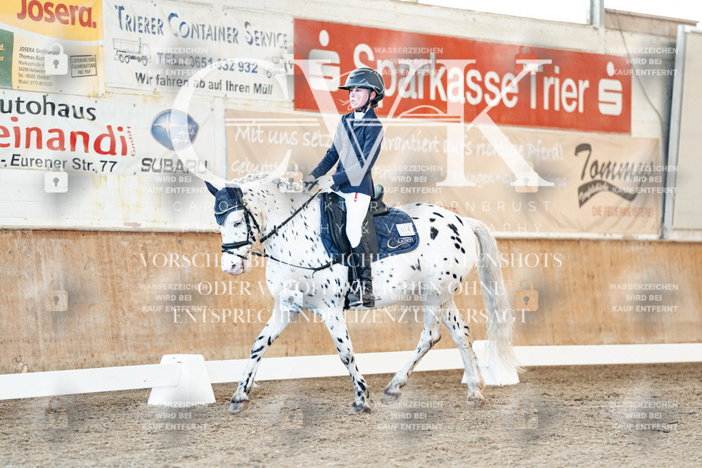 CK906895 | Turnierfotografie Pferdefotografie Trier Rheinland-Pfalz Pferdesport Reitsport Tierfotografie Sportfotografie Pferdevideo Pferdevideografie Equestrianvideography equestrianphotography  - Realisiert mit Pictrs.com