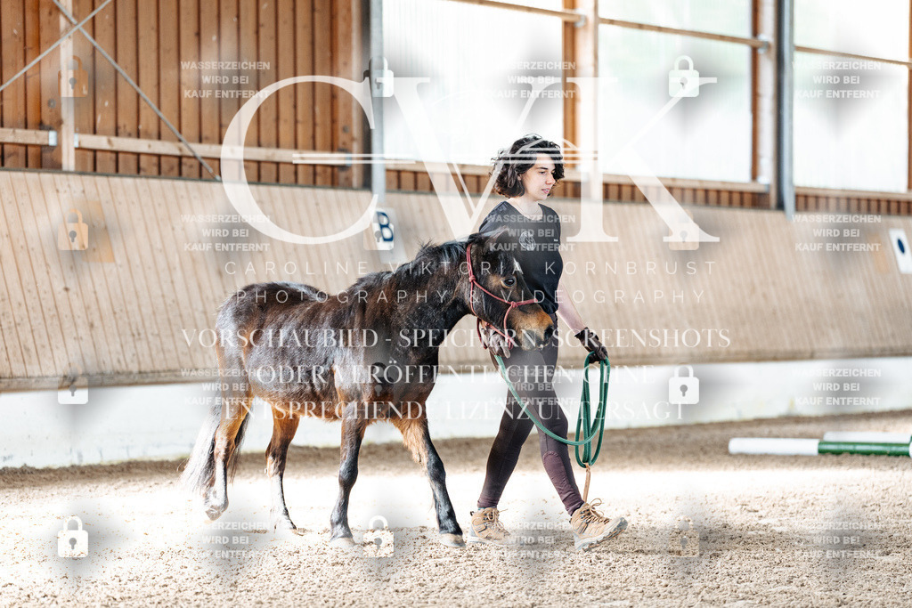 CK905162 | Turnierfotografie Pferdefotografie Trier Rheinland-Pfalz Pferdesport Reitsport Tierfotografie Sportfotografie Pferdevideo Pferdevideografie Equestrianvideography equestrianphotography  - Realisiert mit Pictrs.com