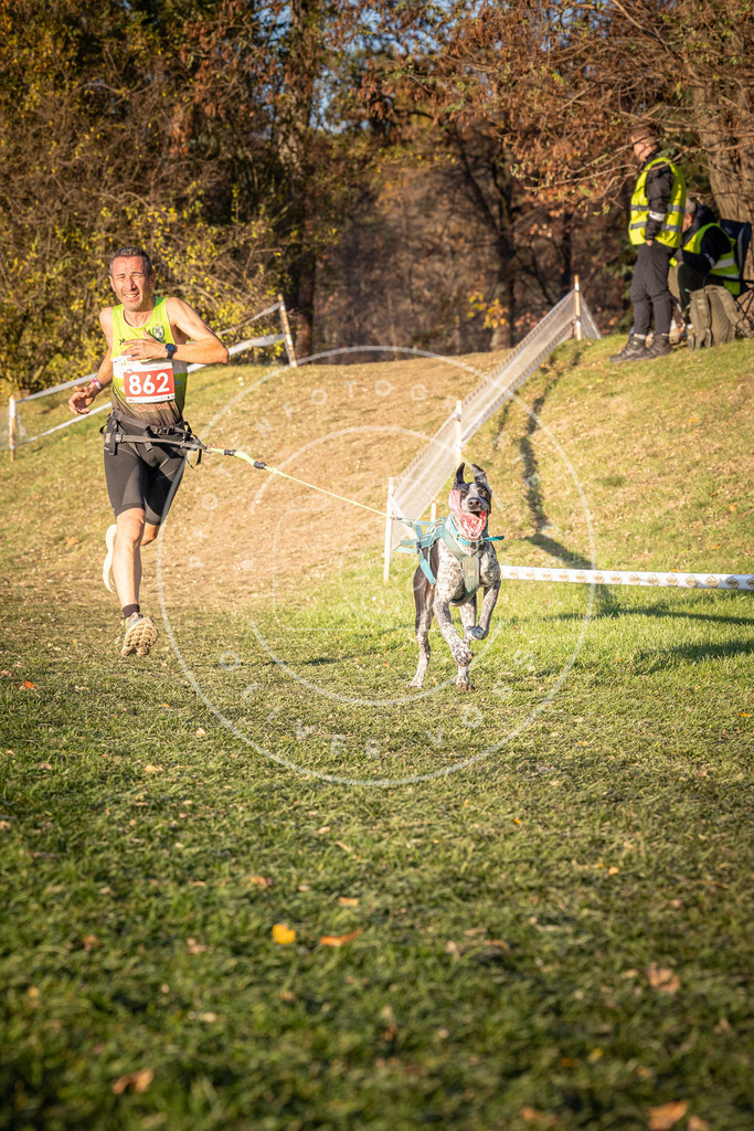CaniXpix_0L8A0958 | Hundefotografie, Tierfotograf, Pfotenfotografie, Fotoshooting Hund, Hunde Portrait, Hundesport, Hundeportraits, Heideshooting, Hunde, Sportfotograf, Hundefotograf, Turnierhundsport, THS,  - Realisiert mit Pictrs.com
