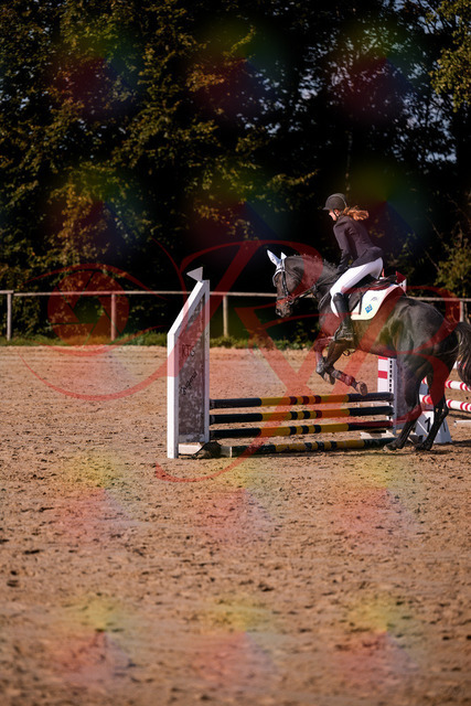 2026_10_03_Siefer-Hof_153510_Z81_46686745 | Professionelle Reitsport-, Turnier- und Eventfotografie von Robert Broda. Galerien mit ausgewählten und bearbeiteten Bildern direkt online ansehen und bestellen.
