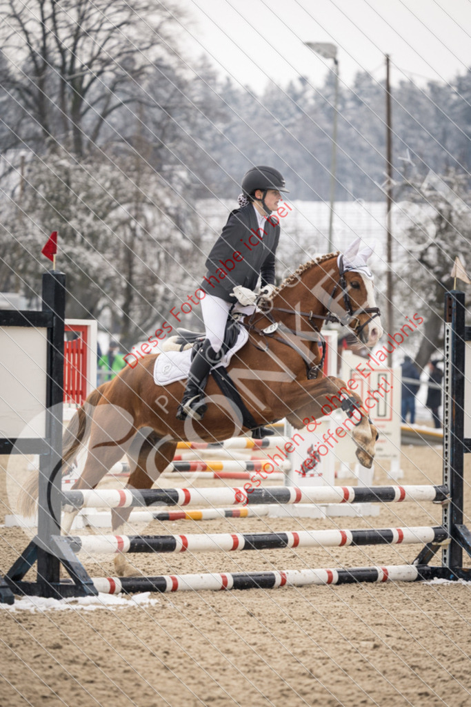 CON_8589 | Sport-, Event- und Tierfotos in Profiqualität. Einfach auswählen, bestellen und herunterladen. Dein Moment – perfekt festgehalten.