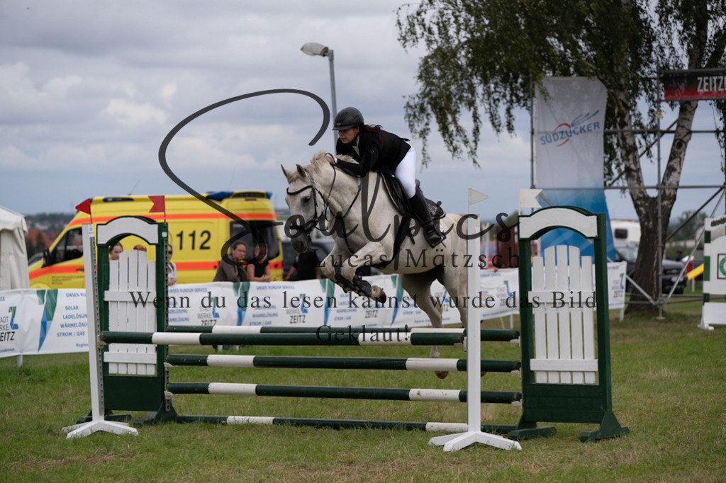 A7V05565 | Pferdefotograf