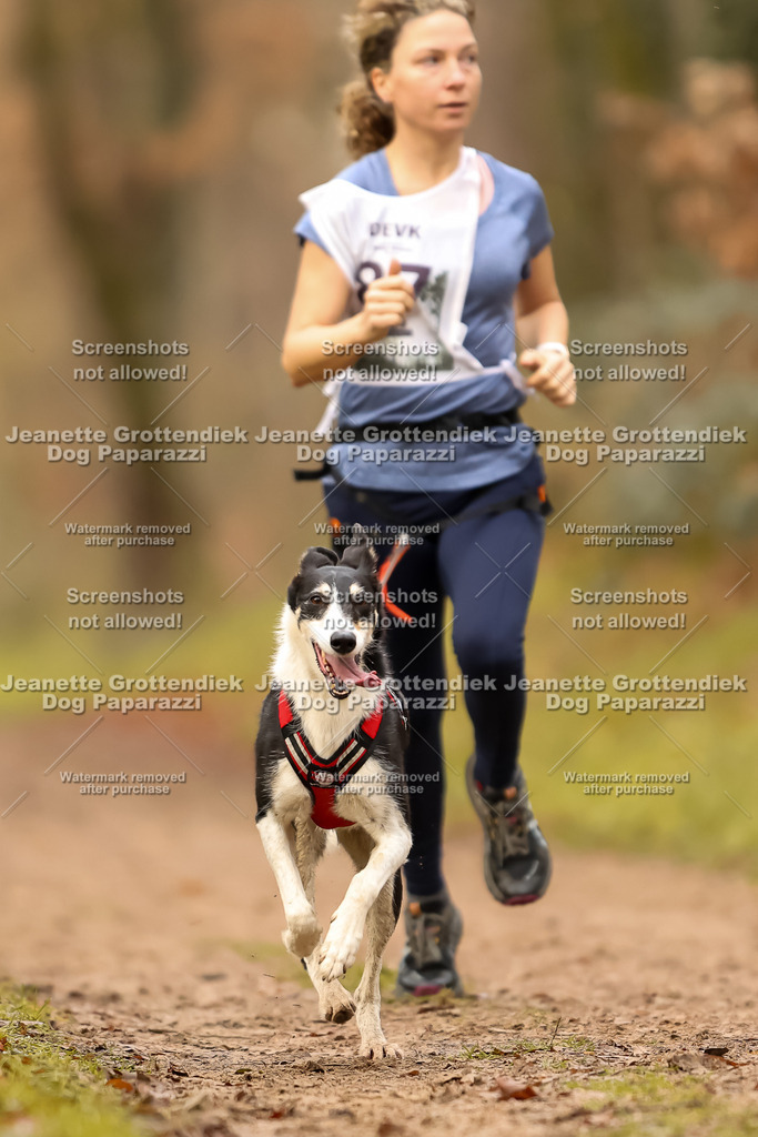 Dog Paparazzi - Speedhunter Mannheim  2025-243 | Dog Paparazzi Jeanette Grottendiek Fotografie & Videografie