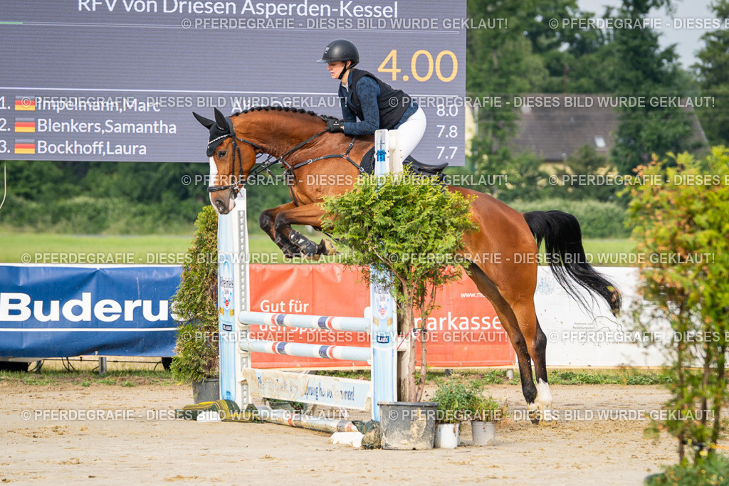 DSC08361 | Pferdegrafie