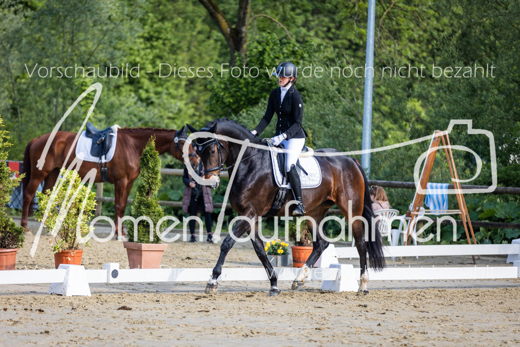 Donop24-A-Dre-055 | MomenTaufnahmen Pferdesportfotos