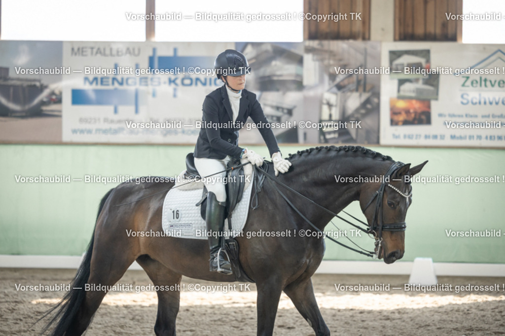 _D5A2774 | Emotionale Pferde- & People-Fotografie rund um Heidelberg, Leimen & Umgebung. Natürliche Fotos von Pferd, Mensch & Familie. Jetzt Termin sichern!