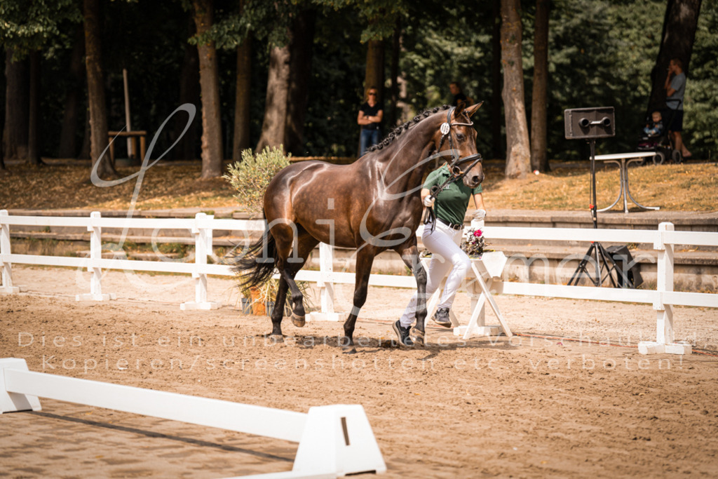 3.Fr00013 | Leoni Ertmer Photography - Realisiert mit Pictrs.com