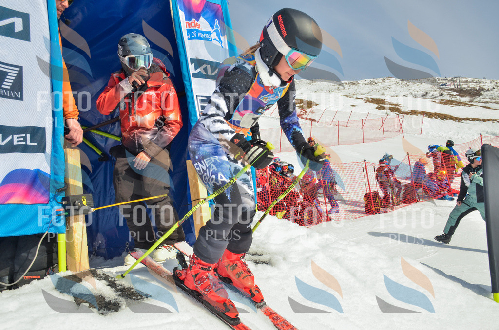 _ELE4612 | holidayphoto