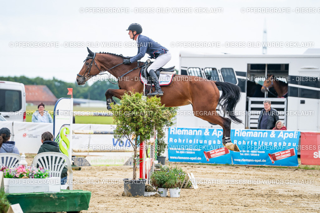 DSC07000 | Pferdegrafie