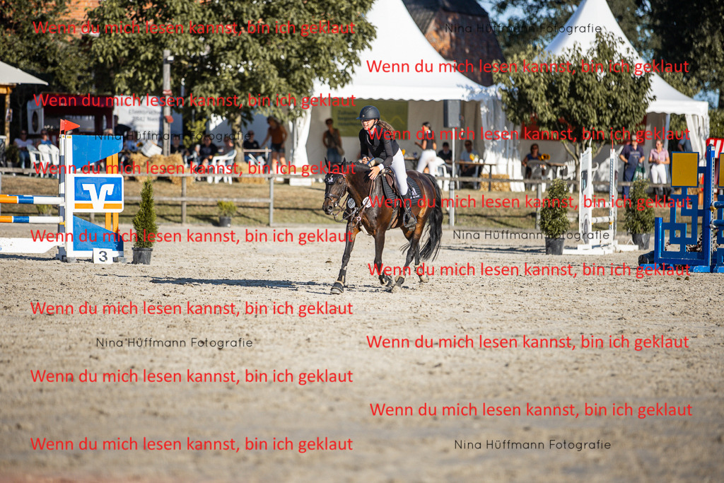 BK1A7861 | Turnierbilder Turnierfotos Nina Hüffmann Turnierfotografie Pferdefotografie Tierzeichnung Haustierzeichnung Pferdezeichnung Hundezeichnung Videograf  - Realisiert mit Pictrs.com