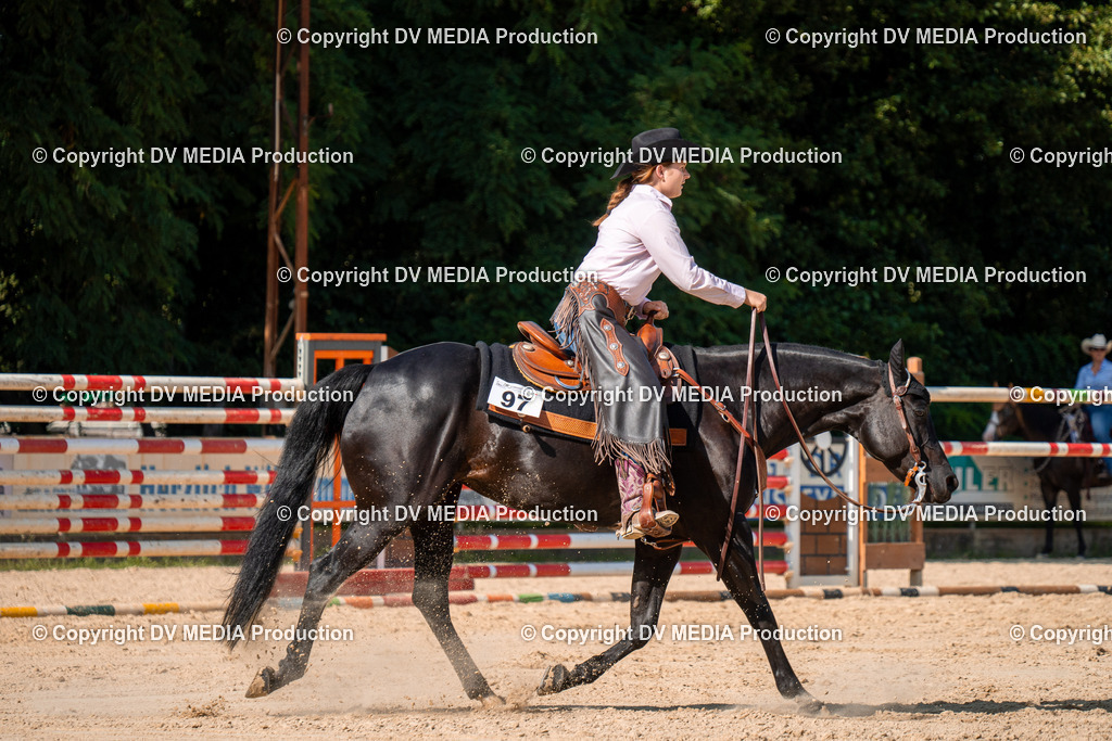 ZH100731 | dv-media-shop - Realisiert mit Pictrs.com