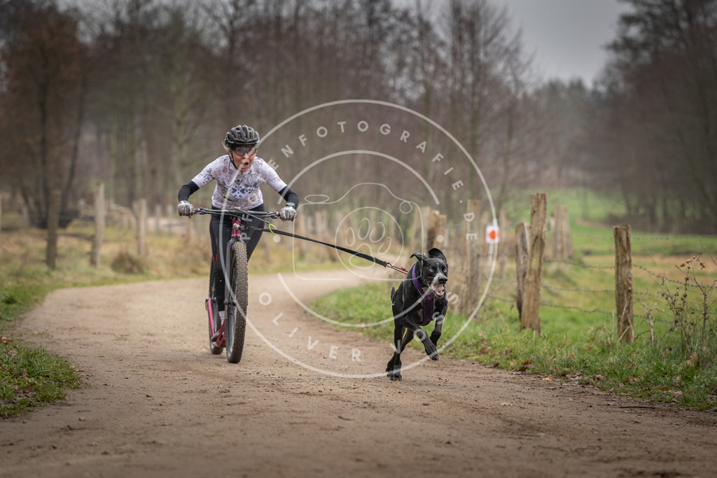 Pfotenfotografie_DV3A2315 | Hundefotografie, Tierfotograf, Pfotenfotografie, Fotoshooting Hund, Hunde Portrait, Hundesport, Hundeportraits, Heideshooting, Hunde, Sportfotograf, Hundefotograf, Turnierhundsport, THS,  - Realisiert mit Pictrs.com