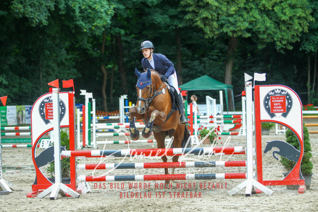 DKP44842 | Turniersportfotografie; Pferdefotografie; Dressurfotografie