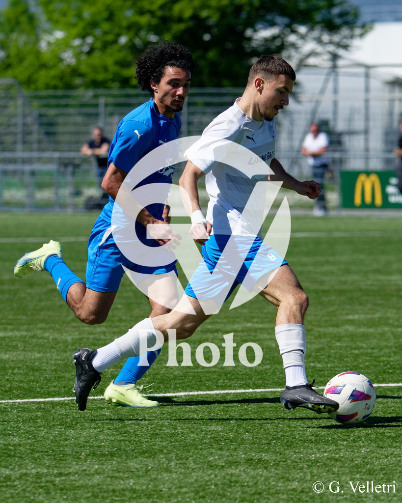 DSC_4049 | Velletri Photo