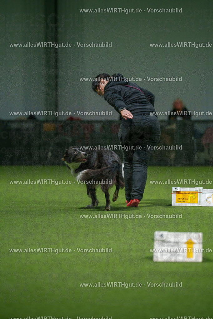 7R507276 | Professionelle Tierfotografie in Mönchengladbach von Daniel Wirth (allesWIRTHgut). Liebevolle & natürliche Bilder von Hunden & Katzen für unvergessliche Erinnerungen.