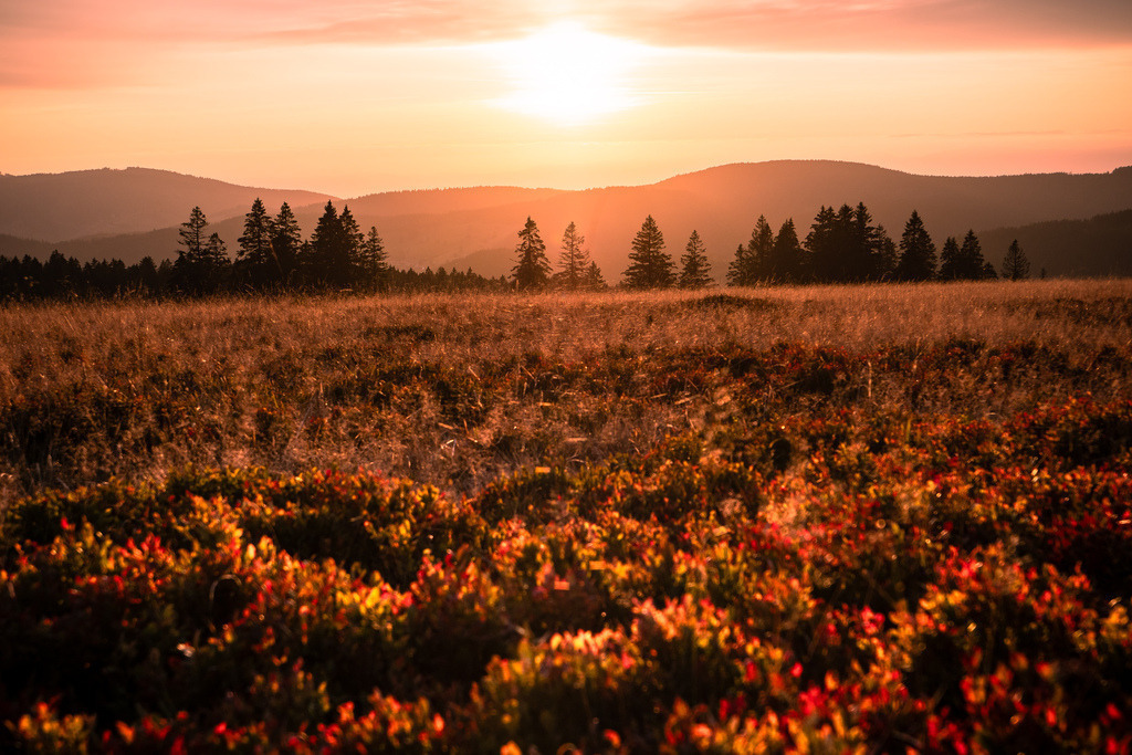 Stübenwasen | Sonnenuntergang auf dem Stübenwasen im Südschwarzwald - Realisiert mit Pictrs.com
