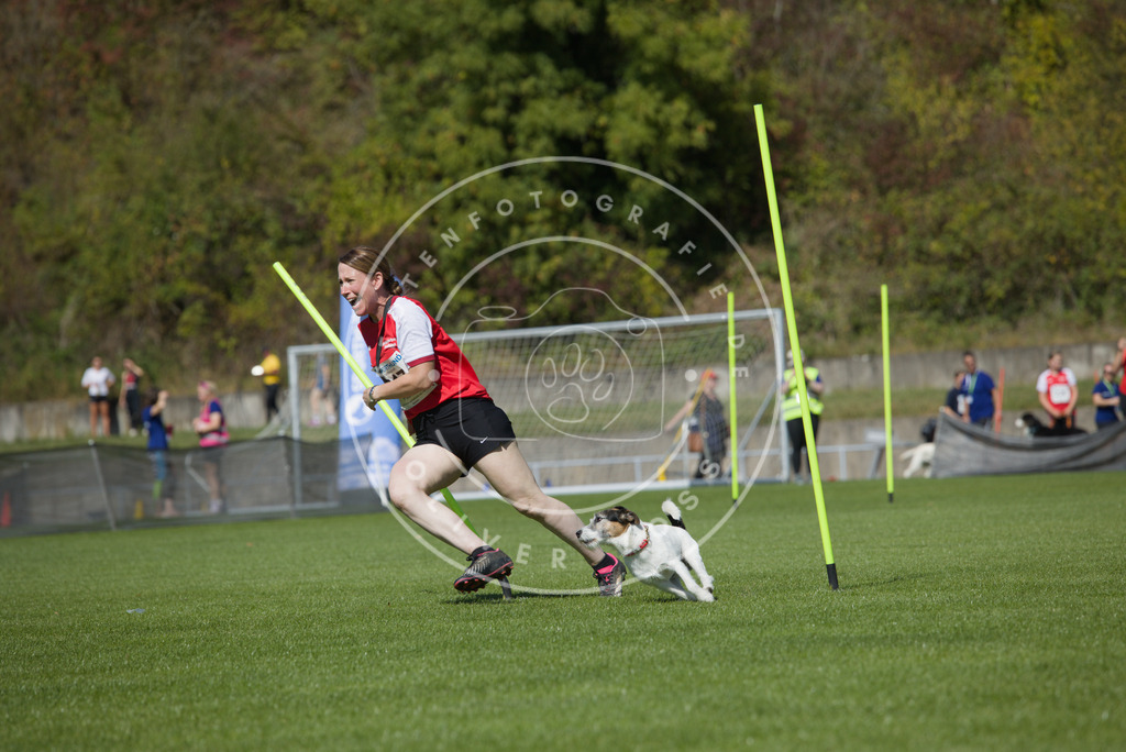 0L8A5926 | Hundefotografie, Tierfotograf, Pfotenfotografie, Fotoshooting Hund, Hunde Portrait, Hundesport, Hundeportraits, Heideshooting, Hunde, Sportfotograf, Hundefotograf, Turnierhundsport, THS,  - Realisiert mit Pictrs.com