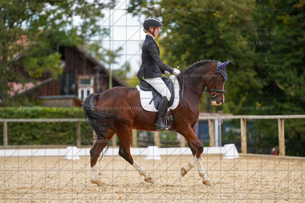 20231007-SN_00479 | Diessen am Ammersee, 2023, Dressur- und Springturnier, Reitsport, Turnierfotografie, Pferdebilder, Reitbilder, Turnierfotografen Bayern, Fotoagentur Herrmann