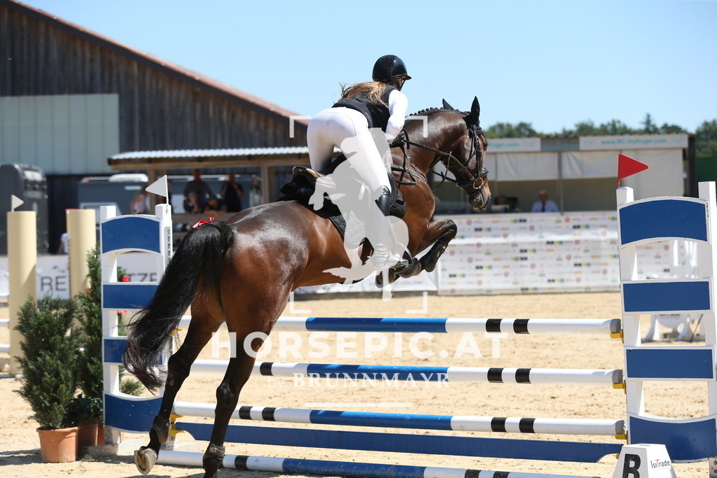 DL2Q9133 | Willkommen bei Brunnmayr - Design & Fotografie – Ihrem Spezialisten für Reitturniere und Pferdeveranstaltungen in Oberösterreich, Salzburg und Bayern! Seit über 17 Jahren sind wir leidenschaftlich dabei.