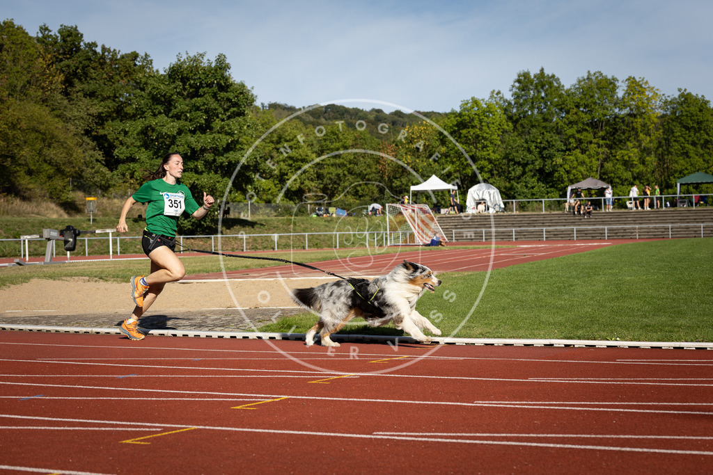 Pfotenfotografie_DV3A9348 | Hundefotografie, Tierfotograf, Pfotenfotografie, Fotoshooting Hund, Hunde Portrait, Hundesport, Hundeportraits, Heideshooting, Hunde, Sportfotograf, Hundefotograf, Turnierhundsport, THS,  - Realisiert mit Pictrs.com