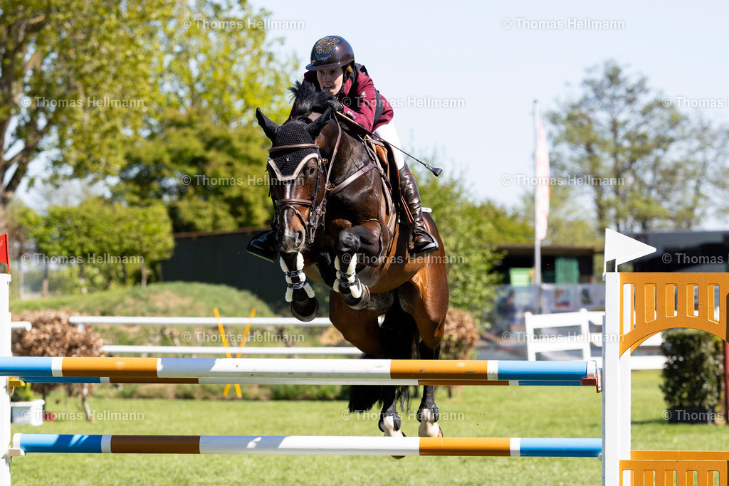 TH_1127 Brianne Beerbaum_ Zenzero 4_37063 | Reitturnier Bremen Oberneuland 2026 am 02.05.26 in Bremen, Thomas Hellmann, 1127 Brianne Beerbaum, Zenzero 4