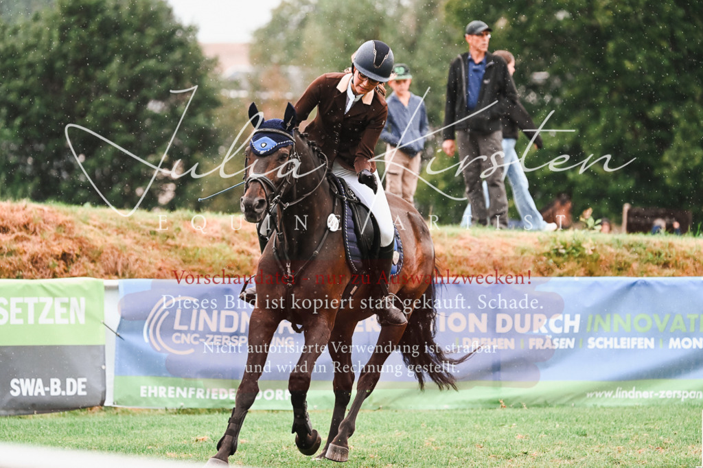 DSC_6597 | Pferde- und Turnierfotografie in Westsachsen. Pferdeportraits, Auftragszeichnungen und intuitive Kunst.