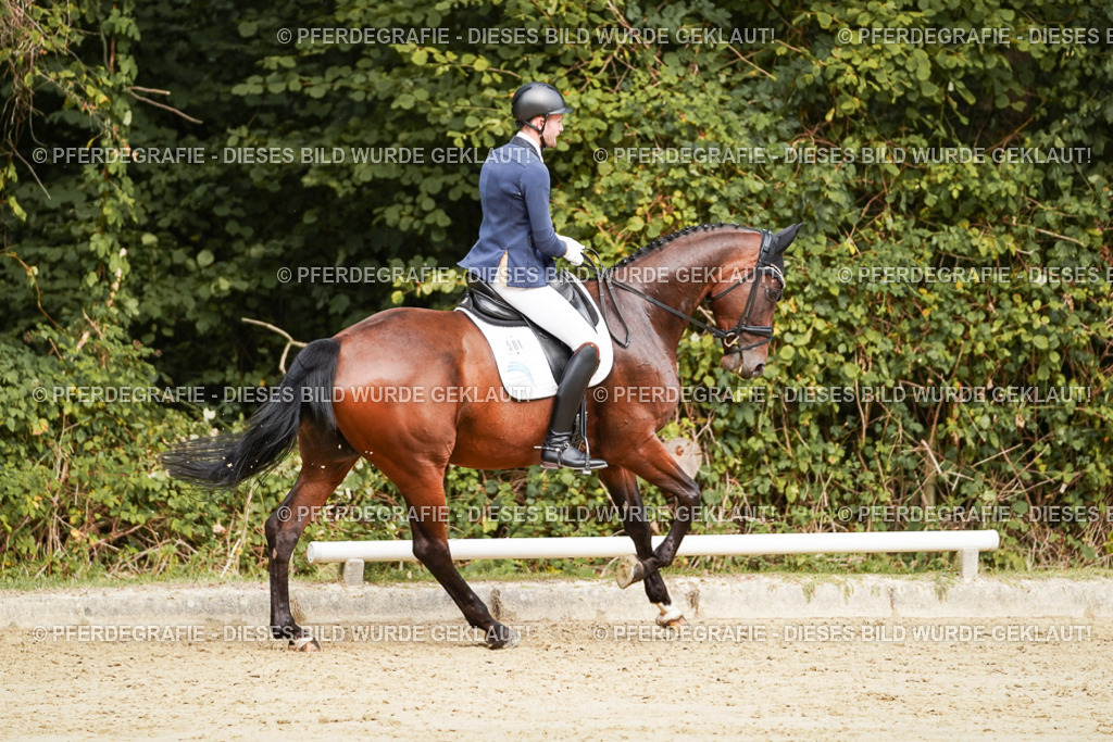 DSC09083 | Pferdegrafie