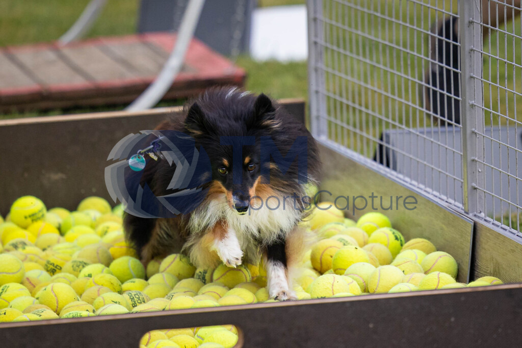 TP-20240815-0040 | Copyright: Trainproduction / Matthias Trinkl